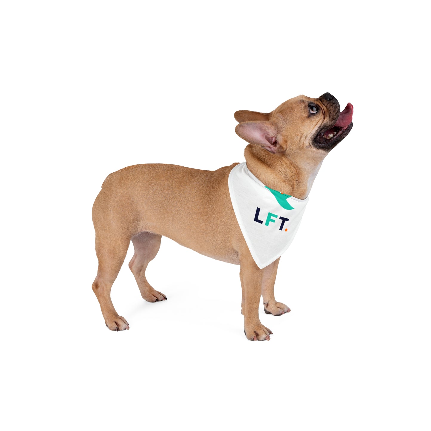 LFT Pet Bandana - Lady Freethinker Store