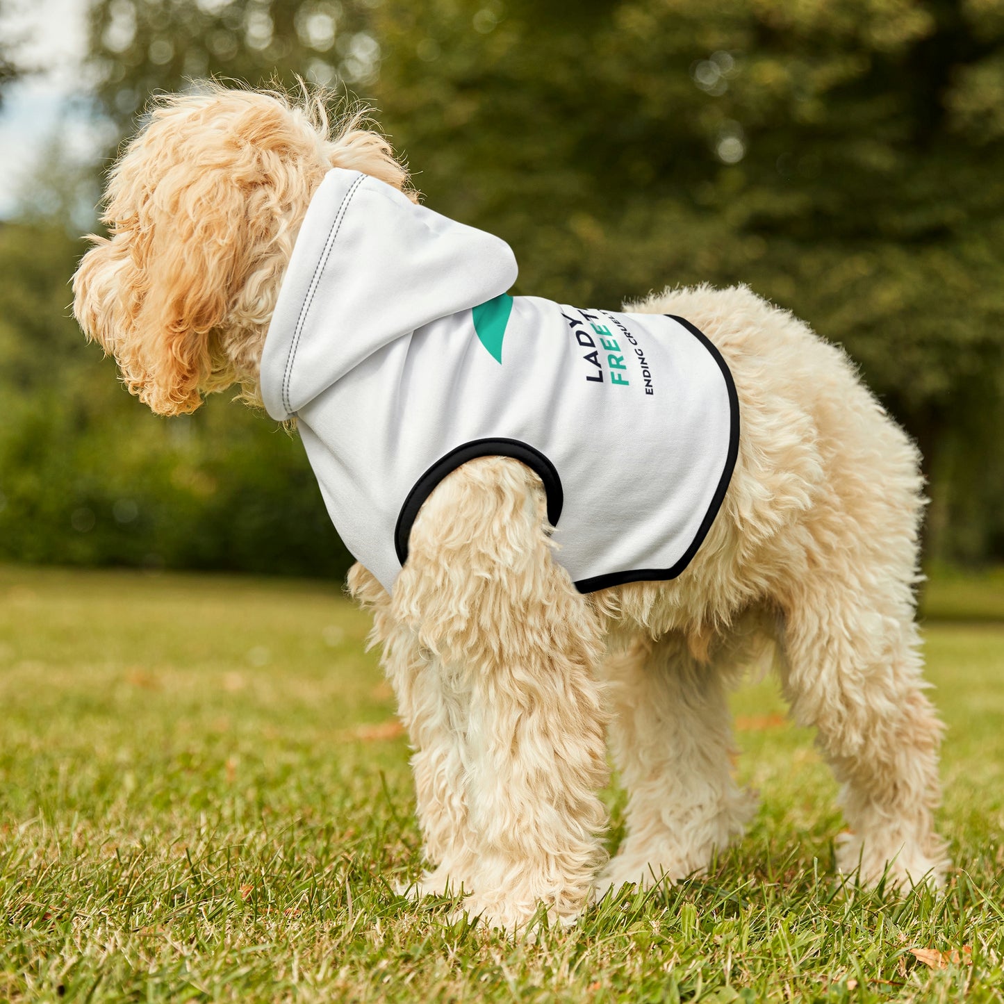 Dog Hoodie