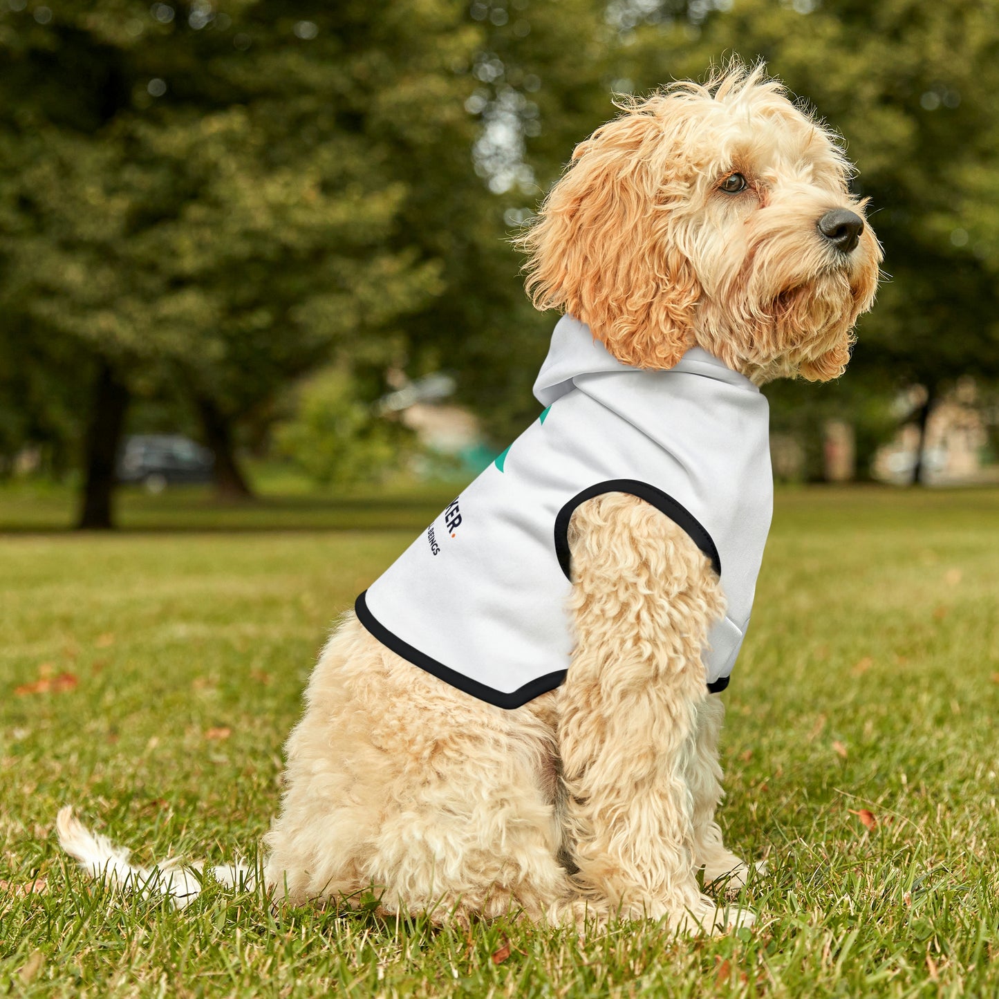 Dog Hoodie